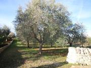 Terreno in vendita a Martina Franca TA