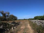 Terreno in vendita a Martina Franca TA