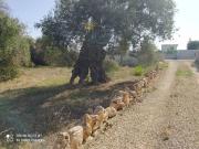 Terreno in vendita a Maruggio TA