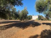 Terreno in vendita a Maruggio TA