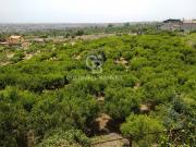 Terreno in vendita a Mascali, Tagliaborse enclave nel...
