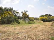 Terreno in vendita a Mascalucia CT