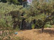 Terreno in vendita a Mascalucia CT