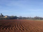 Terreno in vendita a Maserada sul Piave TV