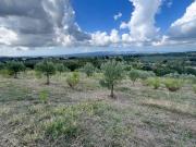 Terreno in vendita a Massa Marittima GR