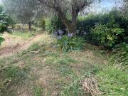 Terreno in vendita a Massa MS