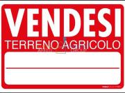 Terreno in vendita a Massa MS