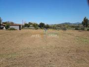 Terreno in vendita a Massa MS