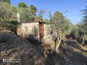 Terreno in vendita a Massarosa LU