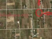 Terreno in vendita a Mazara del Vallo TP