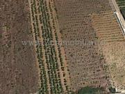 Terreno in vendita a Mazara del Vallo TP