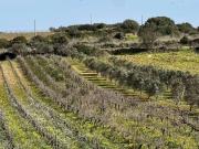 Terreno in vendita a Mazara del Vallo TP