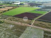 Terreno in vendita a Medole MN