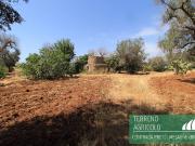 Terreno in vendita a Mesagne BR