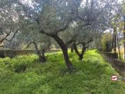 Terreno in vendita a Messina ME