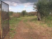 Terreno in vendita a Messina ME