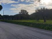 Terreno in vendita a Messina ME