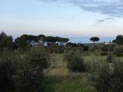 Terreno in vendita a Messina ME