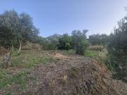 Terreno in vendita a Messina ME