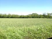 Terreno in vendita a Milano MI