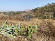 Terreno in vendita a Mineo