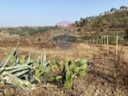 Terreno in vendita a Mineo CT