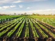 Terreno in vendita a Mirandola MO