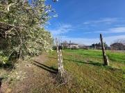 Terreno in vendita a Misano Adriatico RN