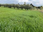 Terreno in vendita a Misano Adriatico RN