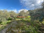 Terreno in vendita a Misilmeri PA