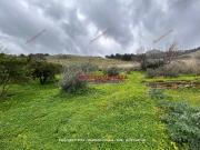 Terreno in vendita a Misilmeri PA