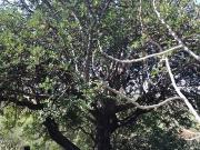 Terreno in vendita a Modugno BA