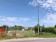 Terreno in vendita a Moglia MN