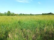 Terreno in vendita a Mogliano Veneto TV