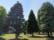 Terreno in vendita a Mogliano Veneto TV