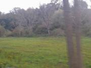 Terreno in vendita a Moiano BN