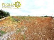 Terreno in vendita a Mola di Bari BA