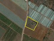 Terreno in vendita a Mola di Bari BA