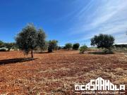 Terreno in vendita a Mola di Bari BA