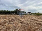 Terreno in vendita a Mola di Bari BA