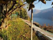 Terreno in vendita a Moltrasio CO