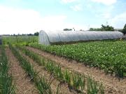 Terreno in vendita a Moncalieri TO