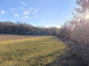 Terreno in vendita a Moncalieri TO