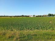 Terreno in vendita a Mondolfo PU