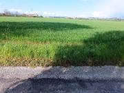 Terreno in vendita a Mondolfo PU