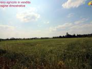 Terreno in vendita a Mondovì CN