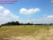 Terreno in vendita a Mondovì CN