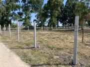 Terreno in vendita a Mondragone CE