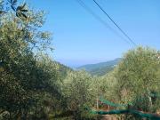 Terreno in vendita a Moneglia GE