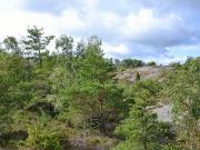 Terreno in vendita a Monfalcone GO